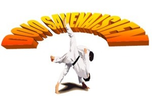 Tournoi amical de judo de Savenay